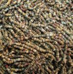 Beads